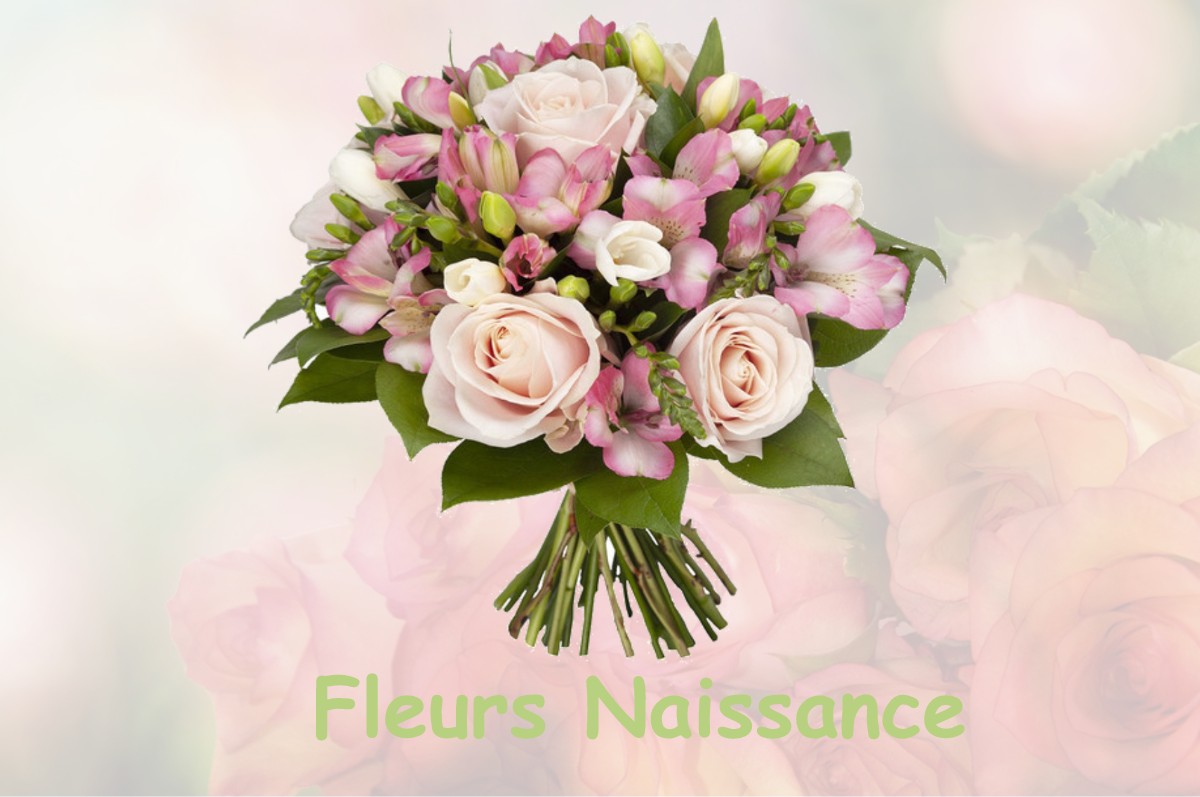 fleurs naissance LA-RESIE-SAINT-MARTIN